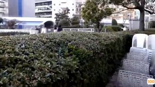 一男子飞滑翔伞坠落桥面受伤崇洋媚外贱货留学生就该被大洋吊狠操真刺激【这女的可以约看下面简阶】